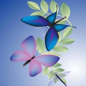 Meet your Posher, Bridgette